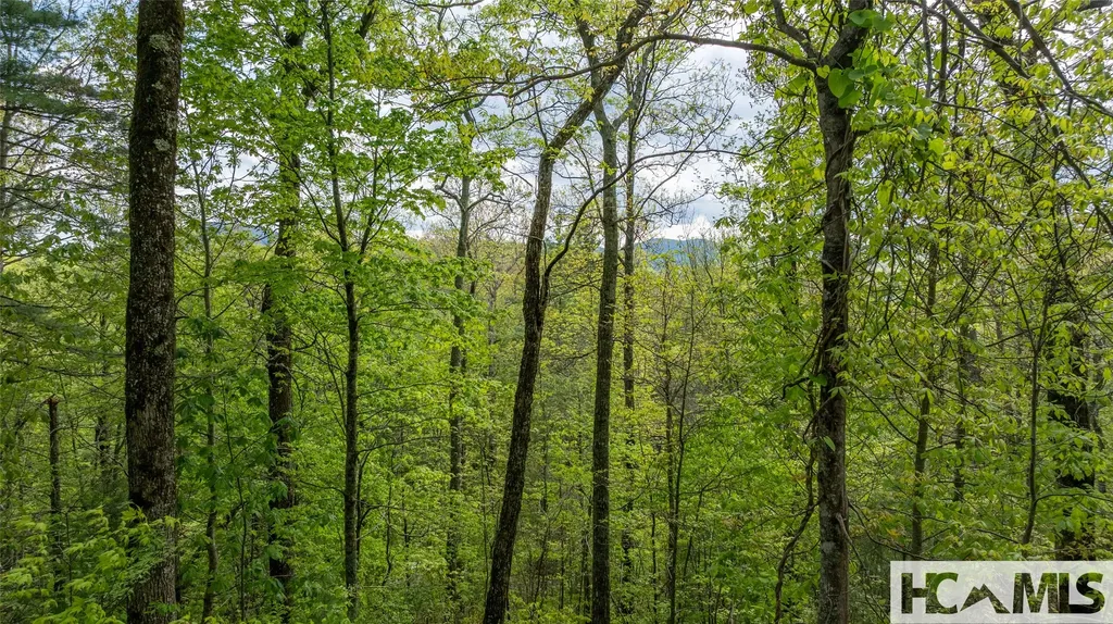 Tbd Birch Creek Trail Cashiers NC 28717