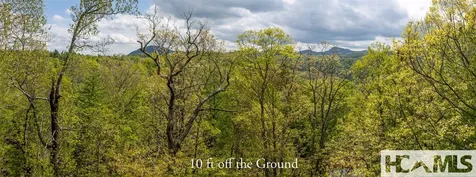 Tbd Birch Creek Trail Cashiers NC 28717