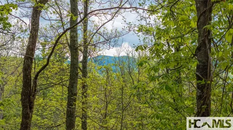 Tbd Birch Creek Trail Cashiers NC 28717