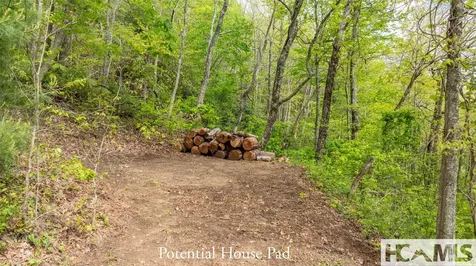 Tbd Birch Creek Trail Cashiers NC 28717