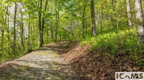 Tbd Birch Creek Trail Cashiers NC 28717