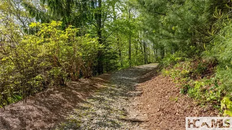 Tbd Birch Creek Trail Cashiers NC 28717