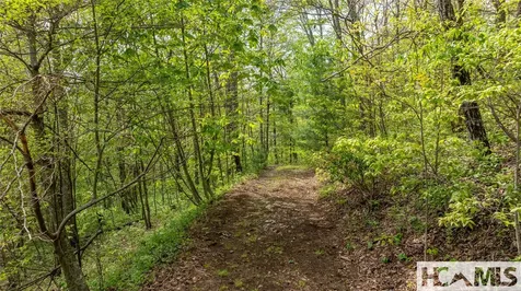 Tbd Birch Creek Trail Cashiers NC 28717