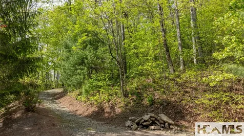 Tbd Birch Creek Trail Cashiers NC 28717