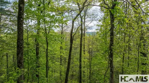 Tbd Birch Creek Trail Cashiers NC 28717