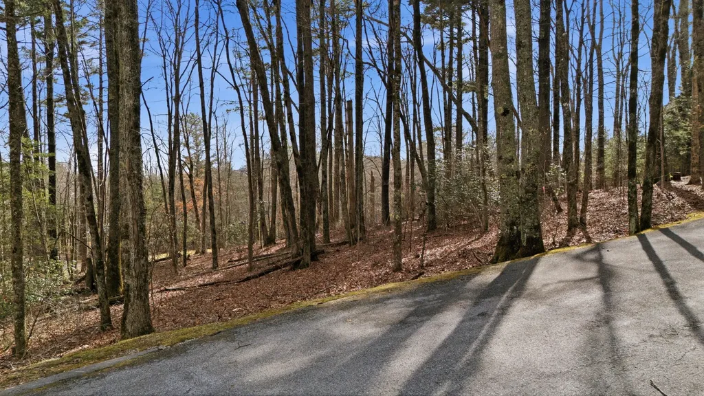 238 Wild Iris Cashiers NC 28717