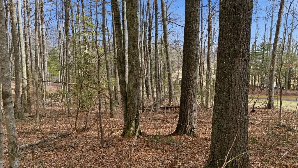 238 Wild Iris Cashiers NC 28717