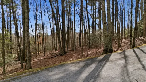 238 Wild Iris Cashiers NC 28717