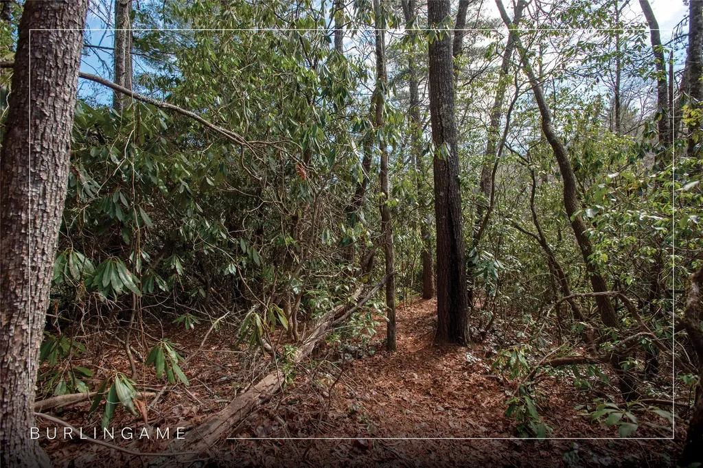 Lot 108r Rockhouse Falls Lane Sapphire NC 28774