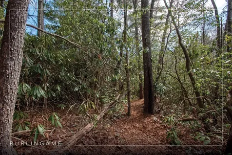 Lot 108r Rockhouse Falls Lane Sapphire NC 28774