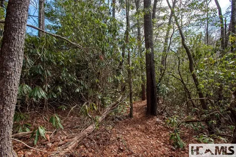 Lot 108r Rockhouse Falls Lane Sapphire NC 28774