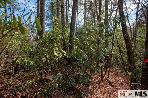 Lot 108r Rockhouse Falls Lane Sapphire NC 28774