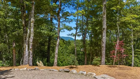 240 Whitewater Ridge Road Sapphire NC 28774