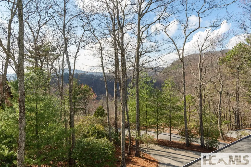93 S Buckberry Drive Sapphire NC 28774