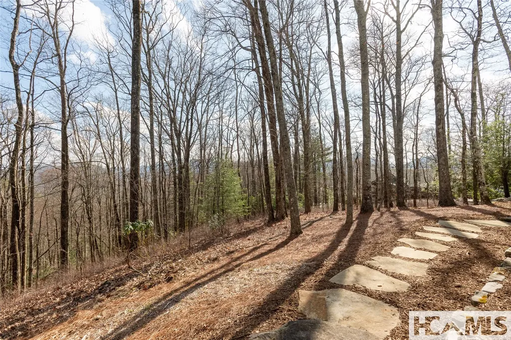 93 S Buckberry Drive Sapphire NC 28774