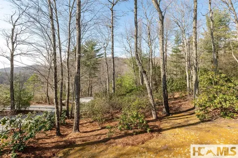 93 S Buckberry Drive Sapphire NC 28774
