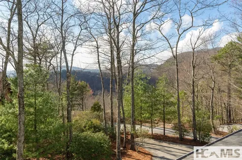 93 S Buckberry Drive Sapphire NC 28774