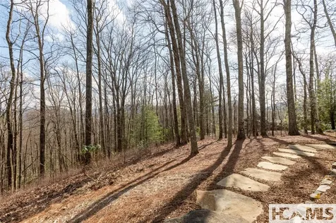 93 S Buckberry Drive Sapphire NC 28774