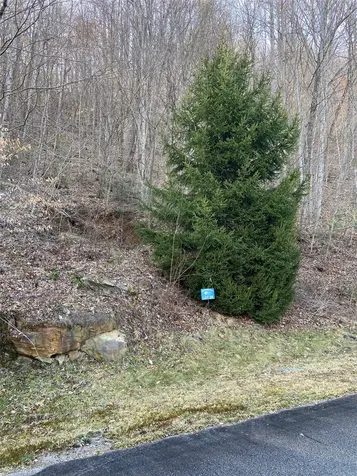 35 Waterdance Drive Cullowhee NC 28723