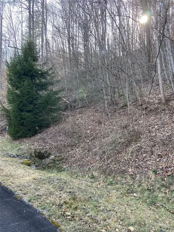 35 Waterdance Drive Cullowhee NC 28723