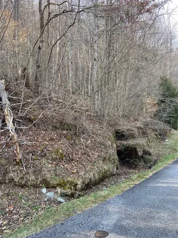 35 Waterdance Drive Cullowhee NC 28723