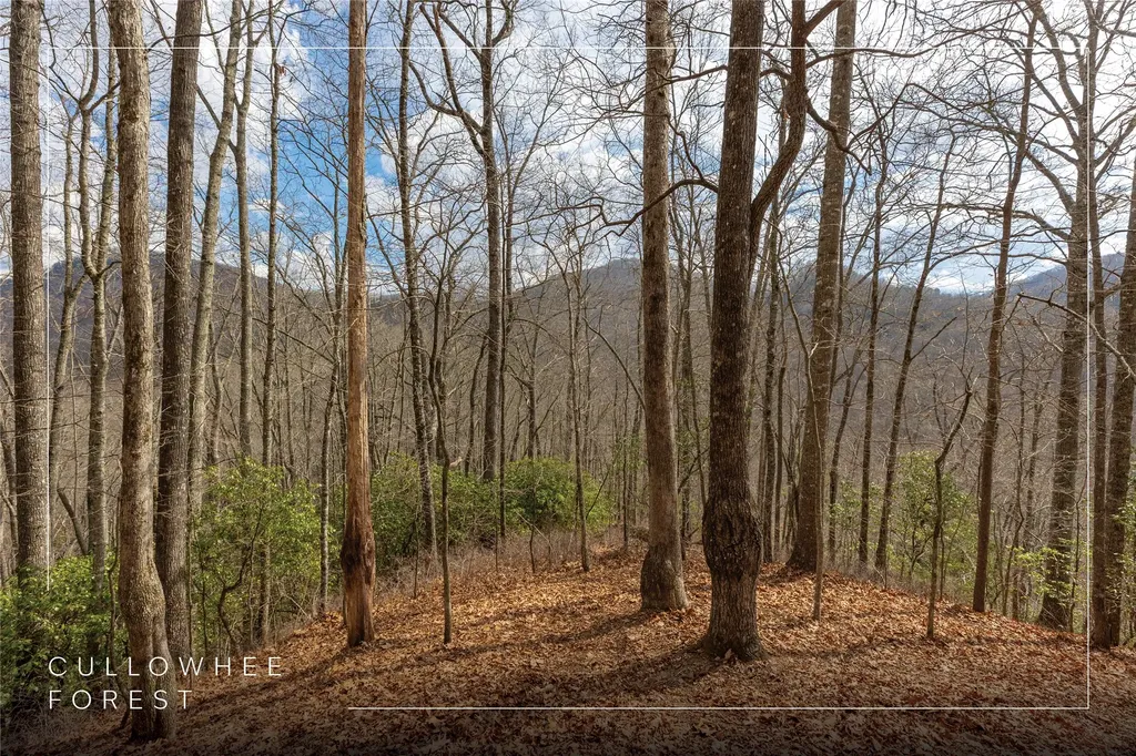 Lot 55 Cullowhee Forest Road Cullowhee NC 28723