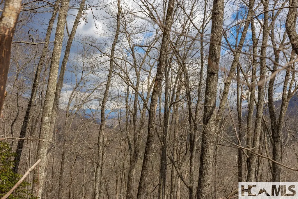 Lot 55 Cullowhee Forest Road Cullowhee NC 28723