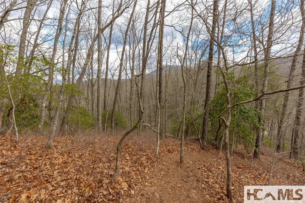 Lot 55 Cullowhee Forest Road Cullowhee NC 28723