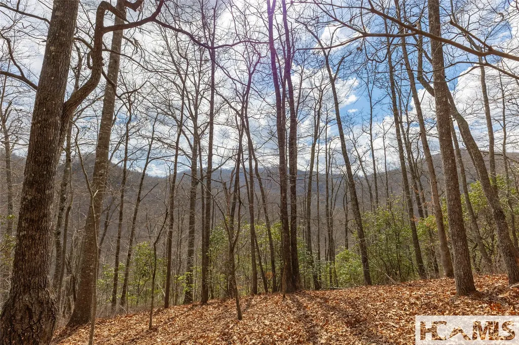 Lot 55 Cullowhee Forest Road Cullowhee NC 28723