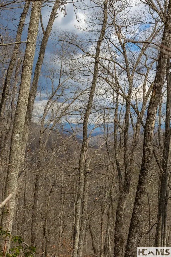 Lot 55 Cullowhee Forest Road Cullowhee NC 28723