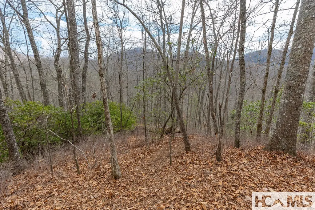 Lot 55 Cullowhee Forest Road Cullowhee NC 28723