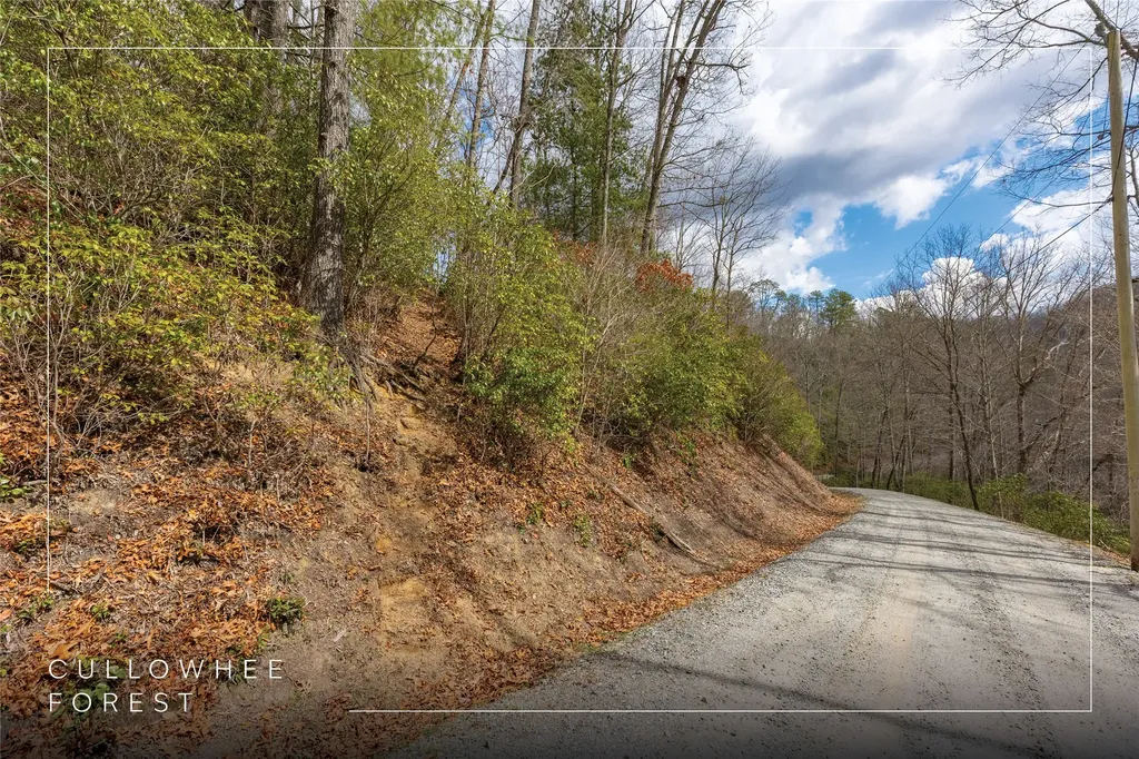Lot 55 Cullowhee Forest Road Cullowhee NC 28723