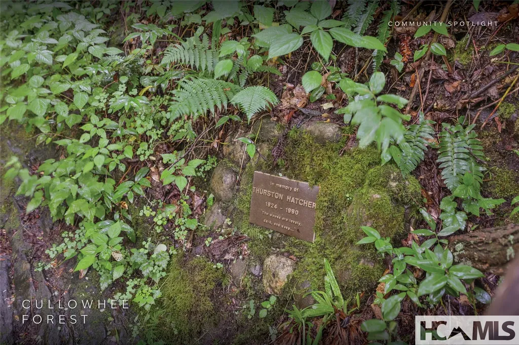 Lot 55 Cullowhee Forest Road Cullowhee NC 28723