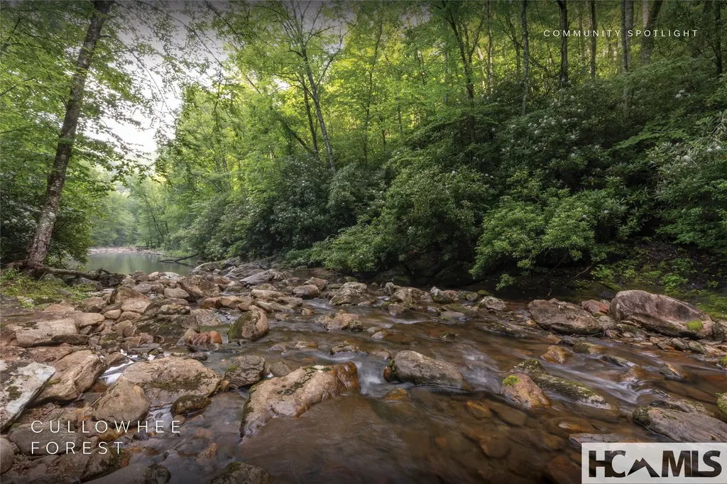 Lot 55 Cullowhee Forest Road Cullowhee NC 28723