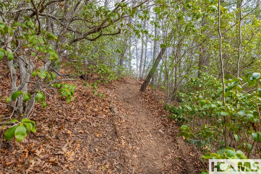 Lot 55 Cullowhee Forest Road Cullowhee NC 28723