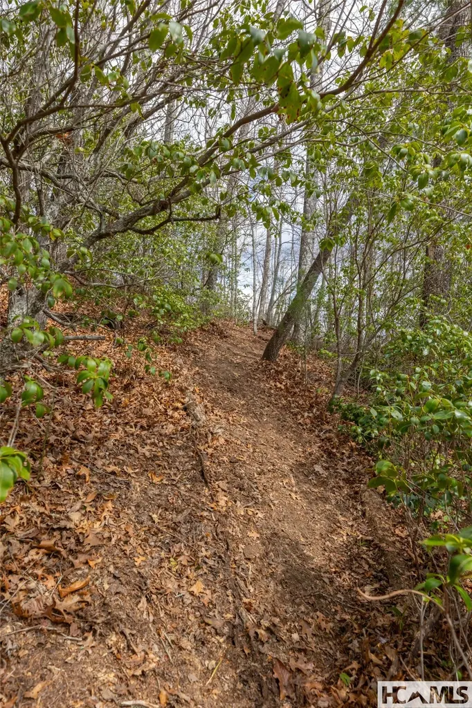 Lot 55 Cullowhee Forest Road Cullowhee NC 28723