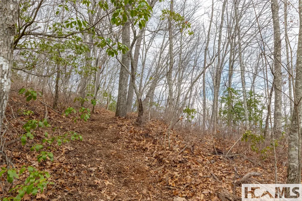 Lot 55 Cullowhee Forest Road Cullowhee NC 28723