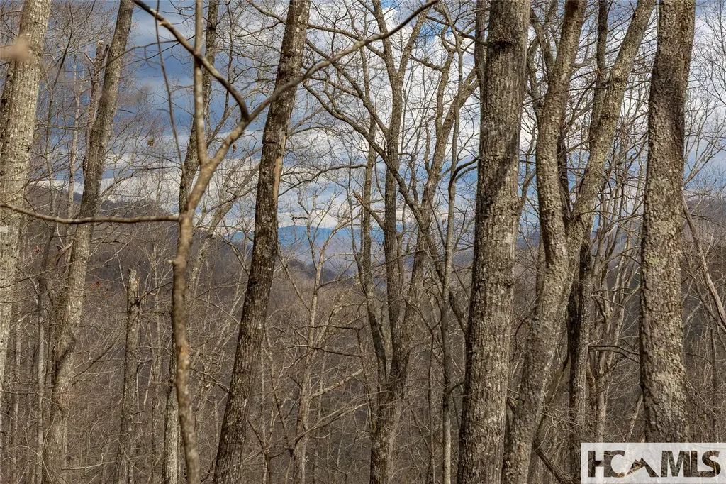 Lot 55 Cullowhee Forest Road Cullowhee NC 28723