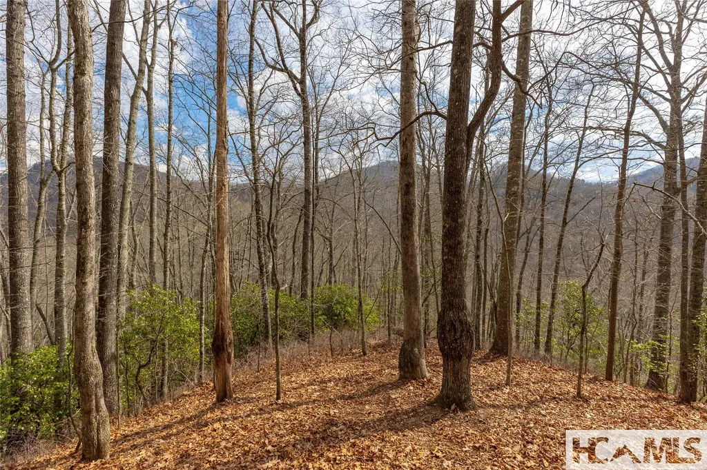Lot 55 Cullowhee Forest Road Cullowhee NC 28723
