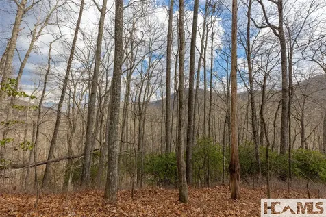 Lot 55 Cullowhee Forest Road Cullowhee NC 28723