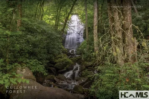 Lot 55 Cullowhee Forest Road Cullowhee NC 28723