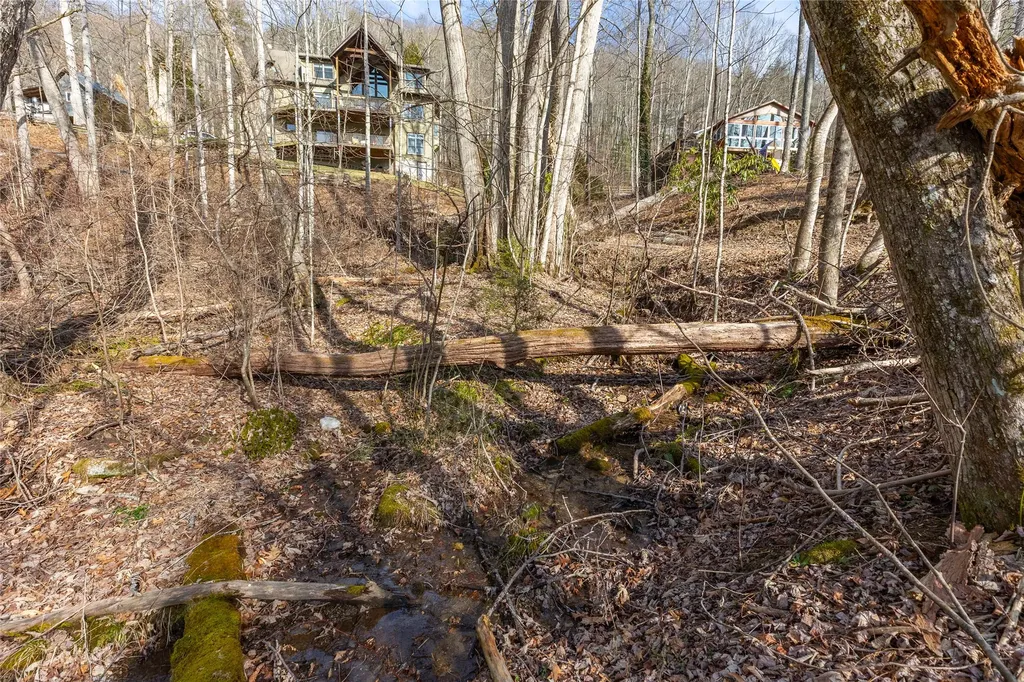 Lot 9 Splendor Cove Road Cullowhee NC 28723