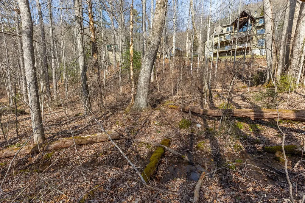 Lot 9 Splendor Cove Road Cullowhee NC 28723