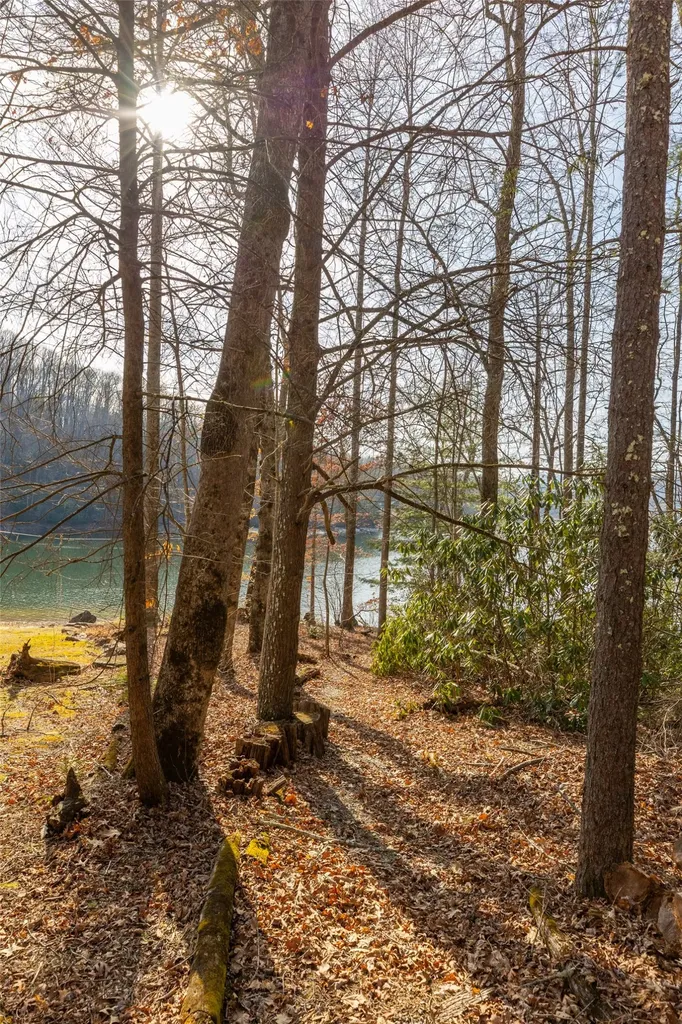 Lot 9 Splendor Cove Road Cullowhee NC 28723