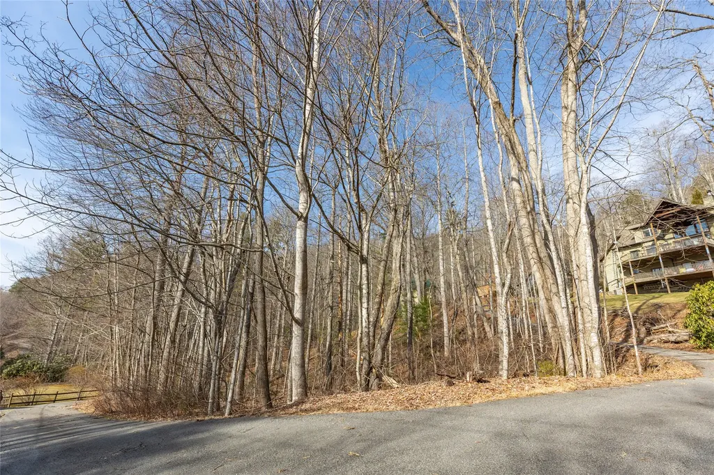 Lot 9 Splendor Cove Road Cullowhee NC 28723