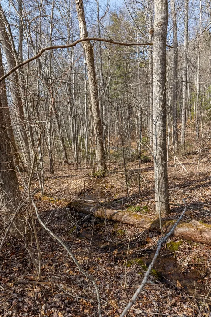 Lot 9 Splendor Cove Road Cullowhee NC 28723