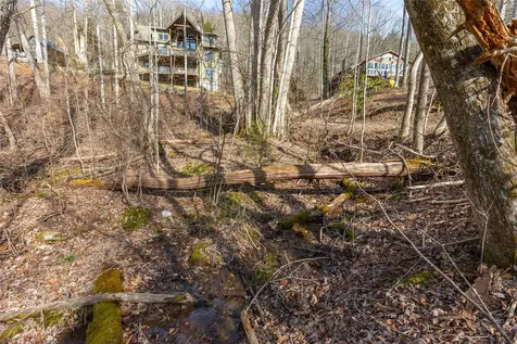 Lot 9 Splendor Cove Road Cullowhee NC 28723