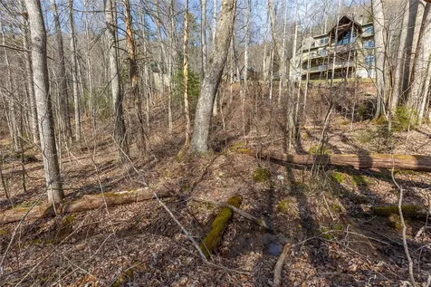 Lot 9 Splendor Cove Road Cullowhee NC 28723