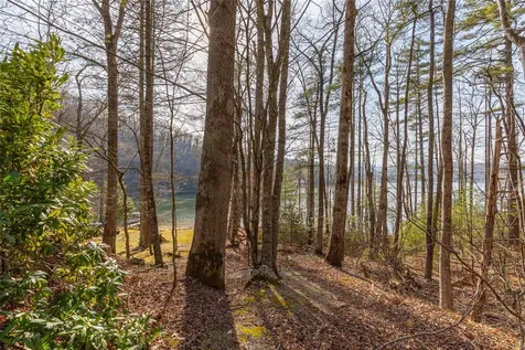 Lot 9 Splendor Cove Road Cullowhee NC 28723