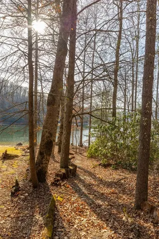 Lot 9 Splendor Cove Road Cullowhee NC 28723